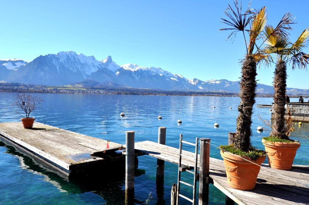 Hotel Restaurant Bellevue Au Lac Thun Exteriér fotografie